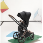 Текстиль для прогулянкового блоку Priam 5.0 Style Collection 2026 Sepia Black