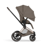 Текстиль для прогулянкового блоку Priam 5.0 Style Collection 2026 Coconut Brown