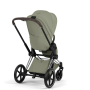 Текстиль для прогулянкового блоку Priam 5.0 Style Collection 2026 Sage Green