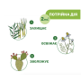 Спрей захисний від комарів Naturalz, 100 мл
