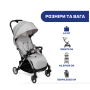 Прогулянкова коляска Goody Plus сірий