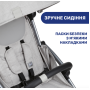 Прогулянкова коляска Goody Plus сірий