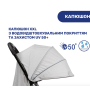 Прогулянкова коляска Goody Plus сірий