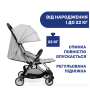 Прогулянкова коляска Goody Plus сірий
