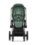 Коляска 2в1 Cybex Priam 4.0 Leaf Green шасі Chrome Black