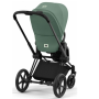Коляска 2в1 Cybex Priam 4.0 Leaf Green шасі Matt Black