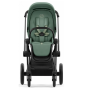 Коляска 2в1 Cybex Priam 4.0 Leaf Green шасі Matt Black